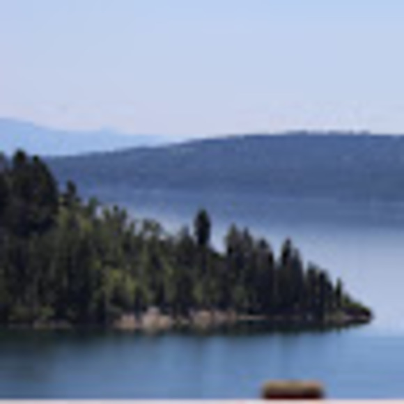 Meet your Posher, Isaac - Picture 1 of 1